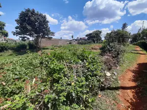 Prime Plot in Gachie