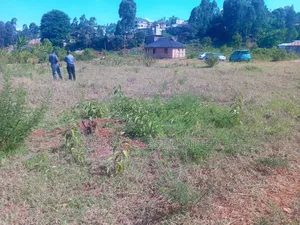 Plot for Sale