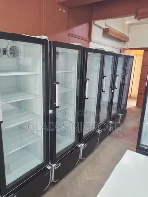 Commercial Chiller at Affordable Price