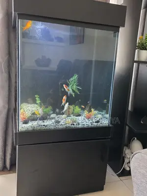 Stylish Home Aquarium – Plug, Play Relax