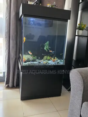 Complete Aquarium Starter Kit – Delivered to You!