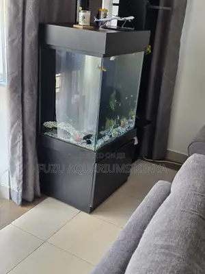 Ready-to-Use Fish Tank With Filter Lights