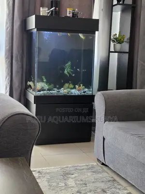 Aquarium Package Deal – Fish, Lights, Filter More!