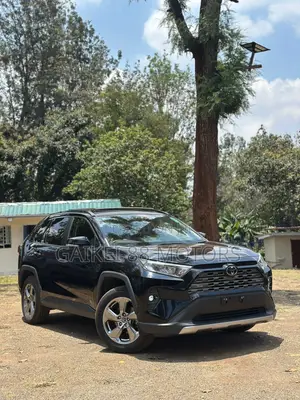 Toyota RAV4 XLE Premium AWD 2019 Black