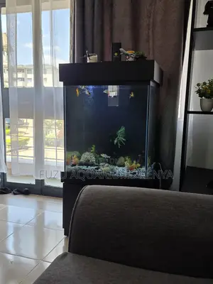 Turn Your Space Into a Calm Ocean Vibe