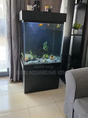 Low-Maintenance Aquarium With Built-in Filtration