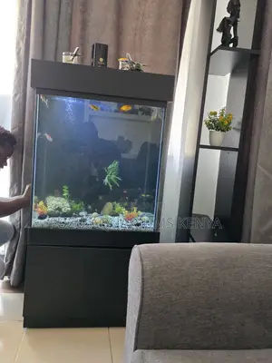Perfect Gift Idea: Fully Equipped Aquarium