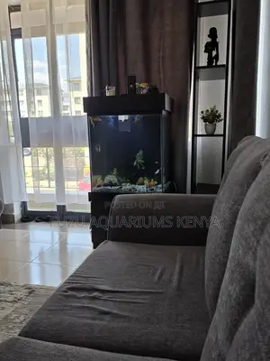 Elegant Home Aquarium With Natural Decor