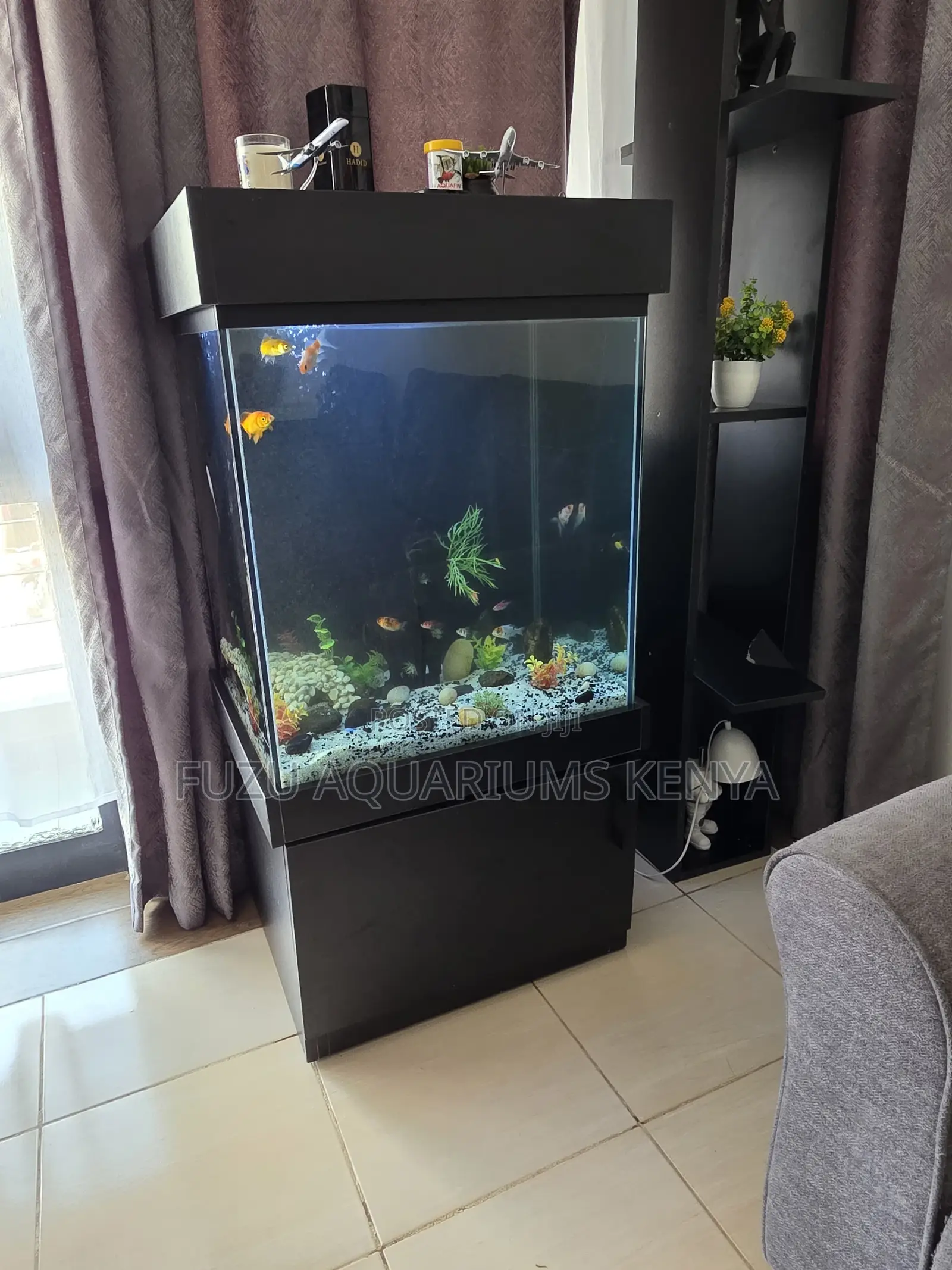 Aquarium Starter Pack – Lights, Plants Fish Food!
