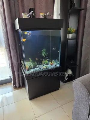 Aquarium Starter Pack – Lights, Plants Fish Food!