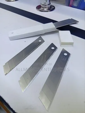 A Packet of 10pcs Blade -10cm