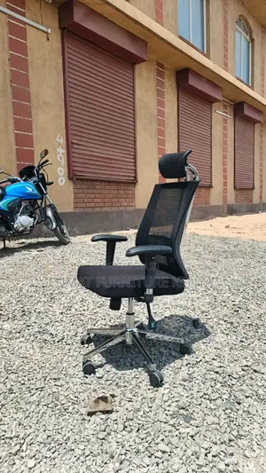 Adjustable Reclining Office Chair