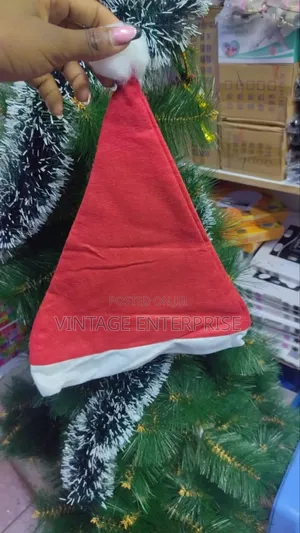 Christmas Hat