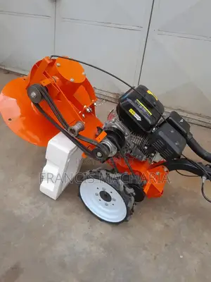 Floor Scrubber Engine Powered