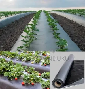 High Quality Mulching Polythene