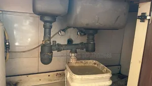 Kitchen Sink Unblocking Services