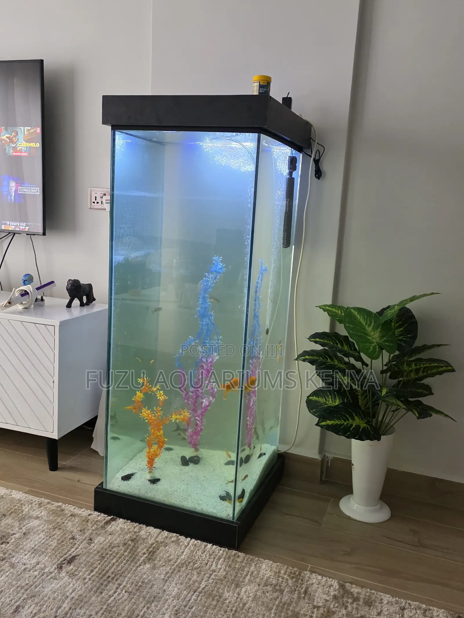 Stylish Aquarium Tower – Complete Setup