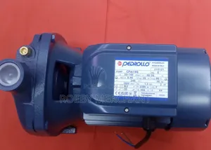 2.0hp Water Pump/Pedrollo Water Pump