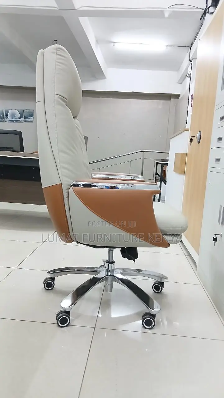Modern Ceo Office Chair