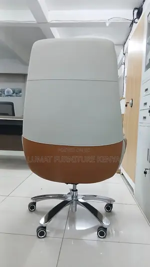 Modern Ceo Office Chair
