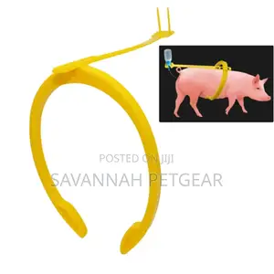 Sows Artificial Insemination Clip (More Convenient and Easier A.I)