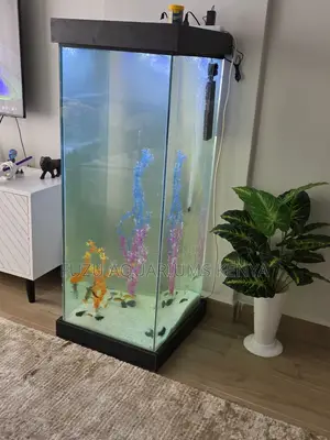 Home Aquarium Tower With Natural Aquatic Plants