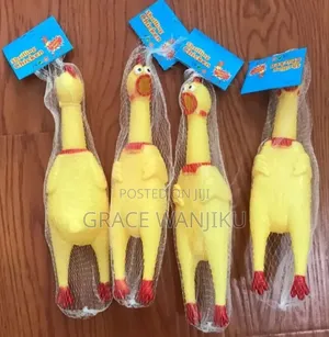 *Shrilling Chicken