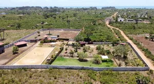 Quarter Acre Plot for Sale in Galu, Diani