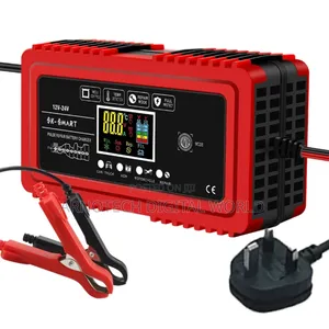 Intelligent Battery Repair Charger