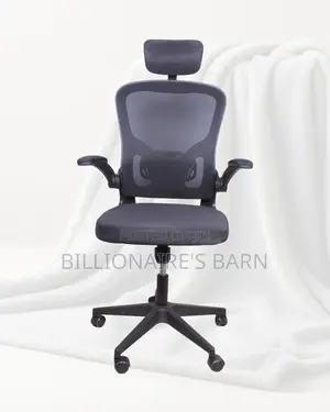 Grey Ergonomic Office Chair — Back Support for Long Hours