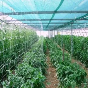 Superior Agricultural Shade Net