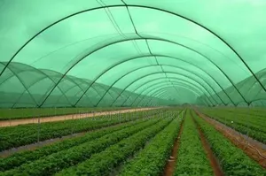 Polyethylene Agricultural Shade Net