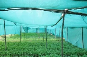 Low Light Diffusion Agricultural Shade Net