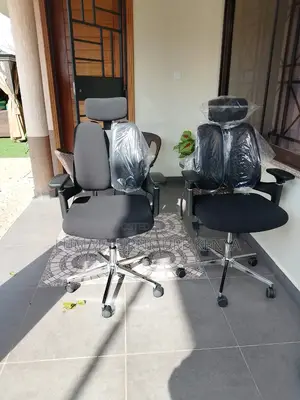 Dual-Back Ergonomic Chair