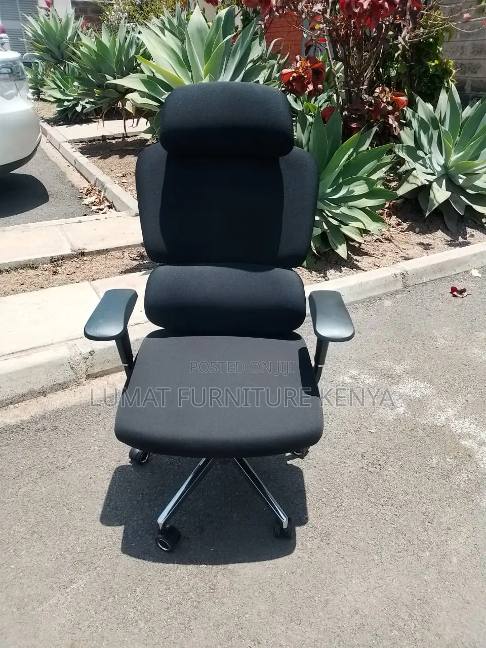Spine Support Office Chair