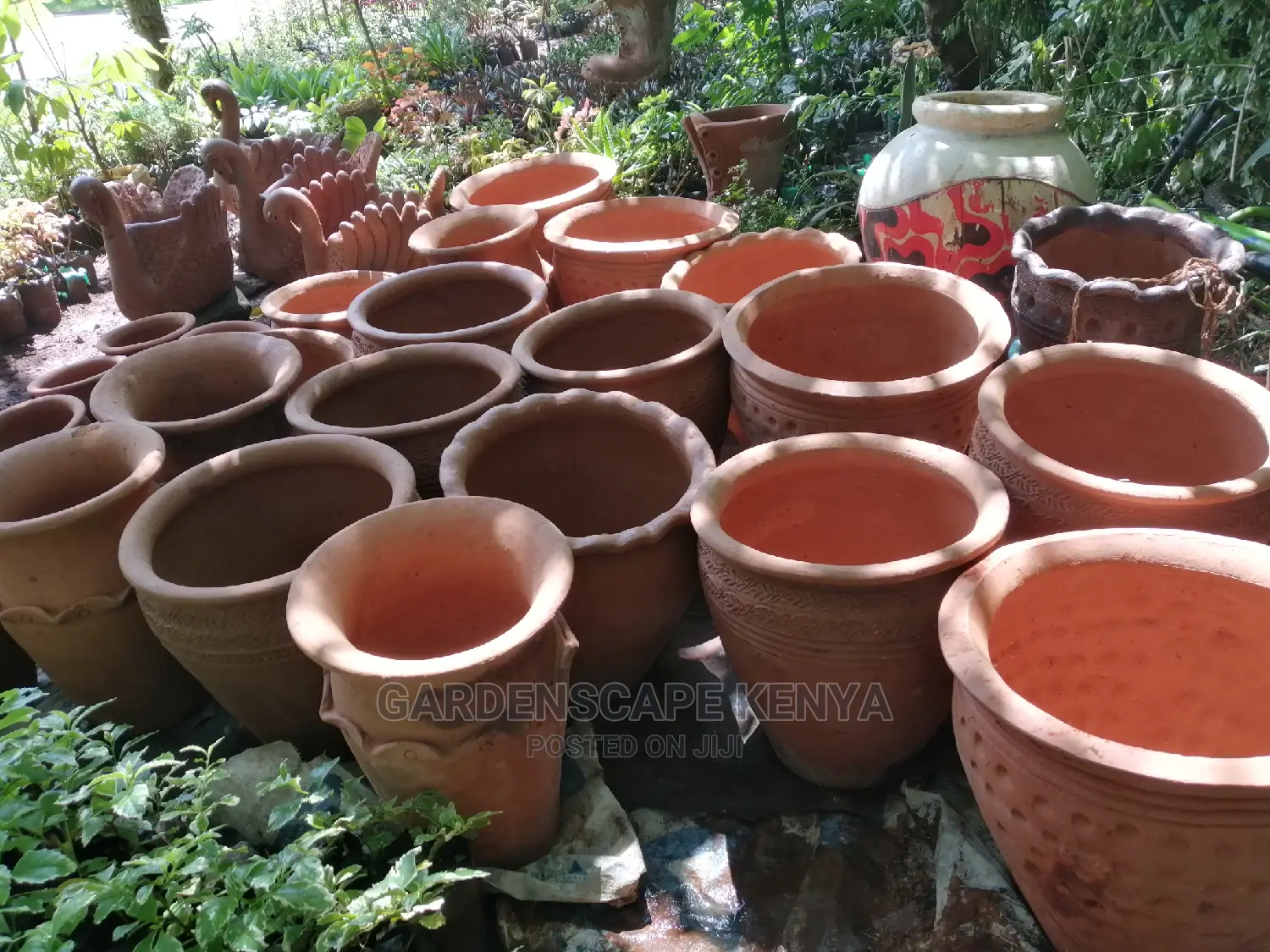 Clay Pots And Potted Plants
