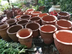 Clay Pots And Potted Plants