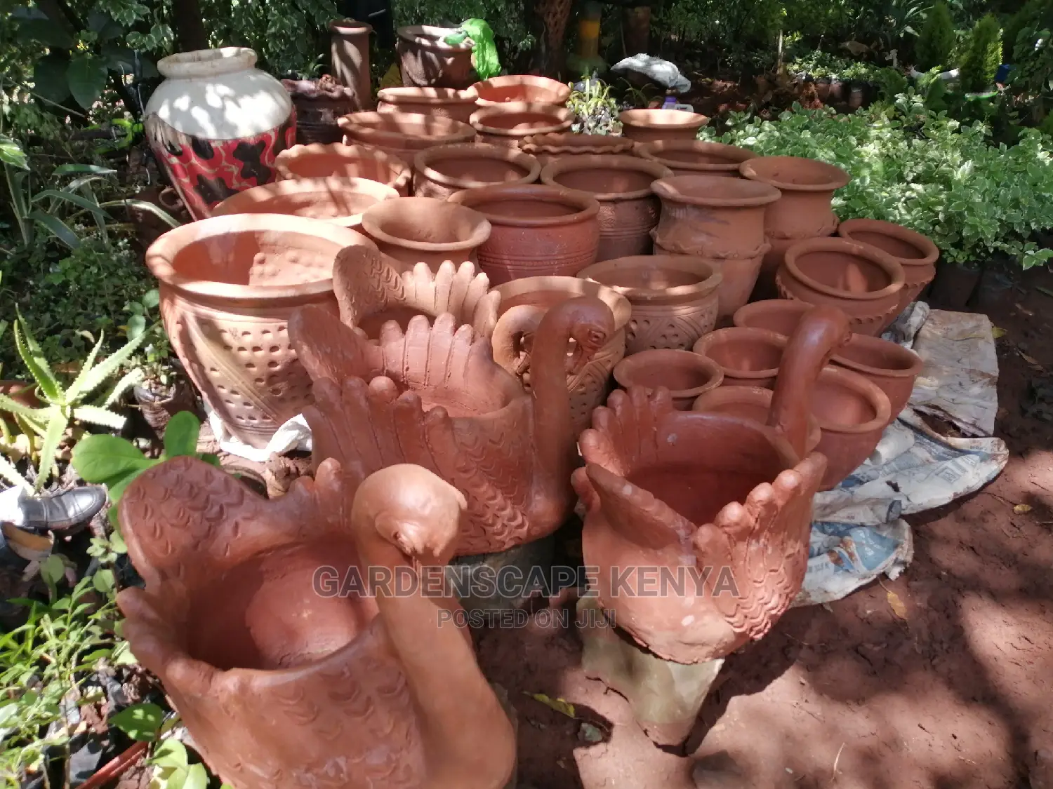 Clay Pots And Potted Plants