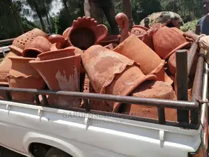 Clay Pots And Potted Plants