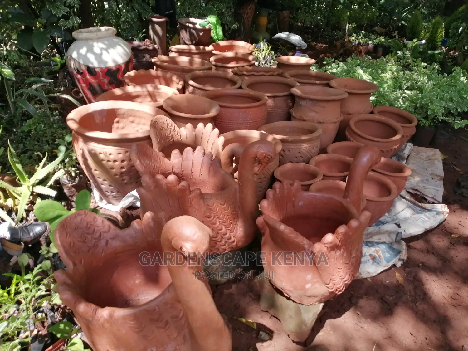 Clay Pots And Potted Plants