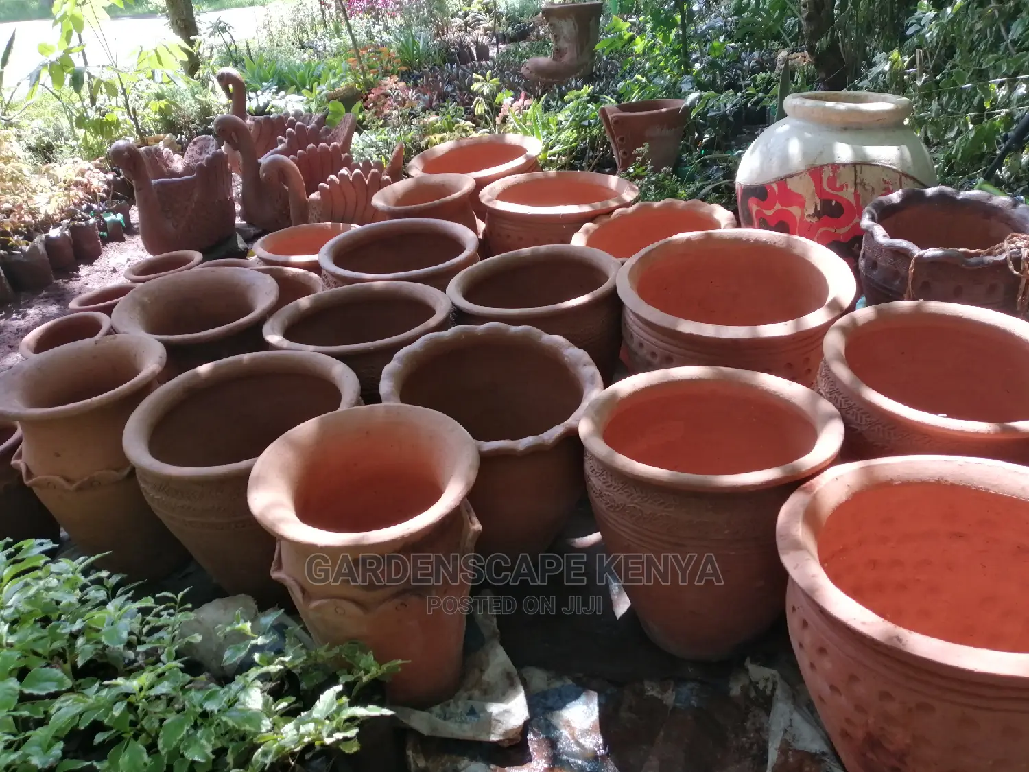 Clay Pots And Potted Plants