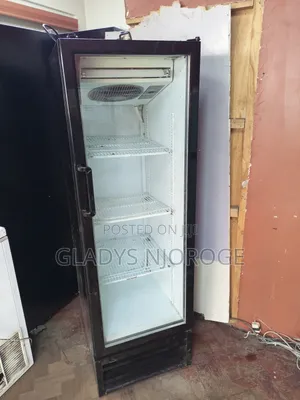 Reliable Medium (300l) Display Chiller