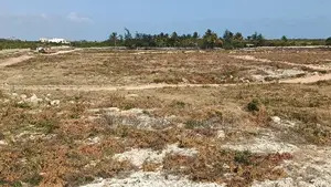 50 by 100 Plots for Sale in Watamu Kilifi County Near Jacaranda Beach