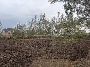 0,5 Acre for Lease in Ruai