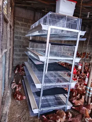 H-Type Layer Cage