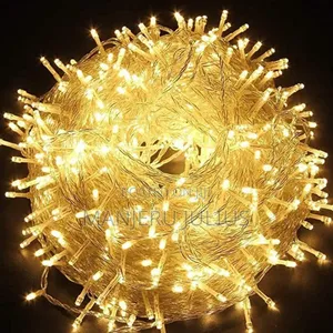 50m Straight W.W Christmas Lights
