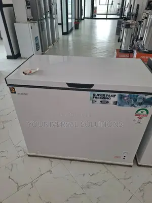 Rebune 250 Litres Deep Freezer