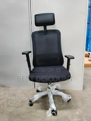 Ergonomics Mesh Office Chair With Headrests