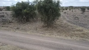 10 Acres Per Acre