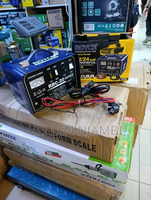 Royce Battery Charger 12/24volts